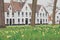 Bruges Beguinage with its colorful tulip fields and houses. Belgium