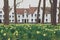 Bruges Beguinage with its colorful tulip fields and houses. Belgium