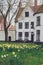 Bruges Beguinage with its colorful tulip fields and houses. Belgium