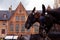 Bruges, Flanders, Belgium, Europe - October 1, 2019. Close-up of walking horses in the old square in medieval Bruges Brugge in