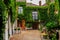 Bruges, Flanders, Belgium, Europe - October 1, 2019. Medieval ancient houses made of old bricks covered with wild grapes on