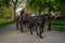 Brugge, Belgium - April 17 :  Tourists take a ride on a horse carriage in Bruges, Belgium, Europe