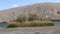 Bruneau sand dunes idaho 10 reeds