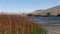 Bruneau sand dunes idaho 44 reeds and lake