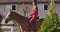 Brunette Caucasian female equestrian sitting on the back of graceful brown horse. Portrait of a jockey in pink clothes