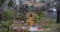 Brunette female having picnic time on the tropical glade