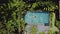 Brunette girl is swimming in outdoor pool on villa between tropical plants