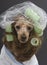 Brunette Poodle In Her Green Curlers and Shower Cap