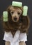 Brunette Poodle With Three Green Curlers