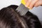 A brunette woman with pediculosis cleans her hair from lice and nits with a comb with small prongs. A lice comb