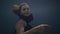 Brunette woman underwater swimming pool on dark background