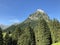 Brunnelistock Bruennelistock Mountain above the Oberseetal valley and alpine Lake Obersee, Nafels Naefels