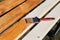 Brush on the beam. Varnishing of a wooden beam with brown glazing varnish