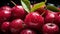 Brush Cherry Fruits Top-Down View Fresh Texture Healthy Living