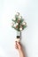 Brush with Christmas tree twigs, natural fir decorated with pine cones and star cookies. Creative simple minimal winter