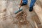 Brush collects fallen pine needles in pile