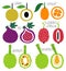 Brush Grunge Exotic Fruits Icons Set.