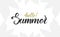 Brush lettering of Hello Summer with light silhouette of palm leaves.