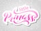 Brush Lettering sticker little Princess. Vector pink illustration