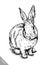 Brush painting ink draw isolated rabbit illustration