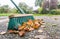 A brush and a pile of leaves in the garden