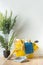 Brushes, bottles with cleaning liquids, sponges, rag and yellow rubber gloves on white background. Cleaning supplies in the yellow