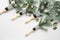Brushes with Christmas tree twigs, natural fir decorated with silver baubles and holly leaves. Creative simple minimal