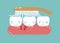 Brushing make hurt gum and teeth, teeth and tooth concept of dental