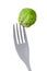 Brussel sprout on a fork