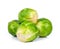 Brussel sprout isolated on the white background