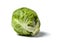 Brussel sprout with water droplets