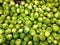 Brussel sprouts background.