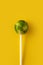 Brussel sprouts with lollipop sticks