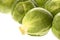 Brussel Sprouts Macro