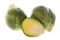 Brussel Sprouts Macro