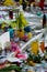 Brussels/Belgium: Candles and flowers. The day after the terrorist attacks on 23 March 2016. Citizens of Brussels