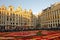 Brussels Belgium Flower Carpet Festival Grand Place