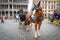 Brussels, Belgium - October 12 2019: Horse-drawn carriages waiting for traveler tourists in the central square of city