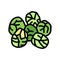 brussels cabbage color icon vector illustration