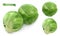 Brussels sprout, cabbage. Leaf vegetables 3d vector objects. Food illustration