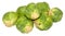 Brussels Sprouts Isolated