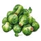Brussels sprouts. Realistic close-up illustration of fresh vegetable, isolated on white background. Generative AI