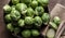 Brussels Sprouts in wooden bowl on rustic background