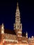 Brussels Town Hall Night