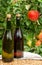 Brut and rose apple cider from Normandy, France and green apple tree with ripe red fruits on background