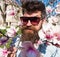 Brutal macho smiling near tender flowers on sunny day. Man with beard and mustache wears sunglasses, magnolia flowers