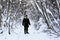 brutal man with beard in warm clothes is standing in winter forest. Person enjoys a walk in fresh air.