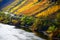Bruttig-Fankel, Germany - 11 12 2020: colorful steep autumn vineyards