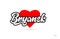 bryansk city design typography with red heart icon logo