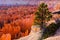 Bryce Amphitheater, Bryce Canyon National Park